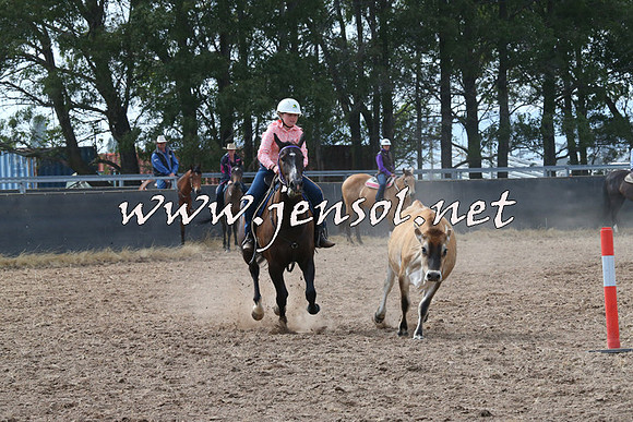 BraidwoodCampdraft2014_0460