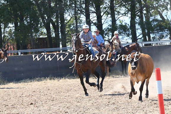 BraidwoodCampdraft2014_0615