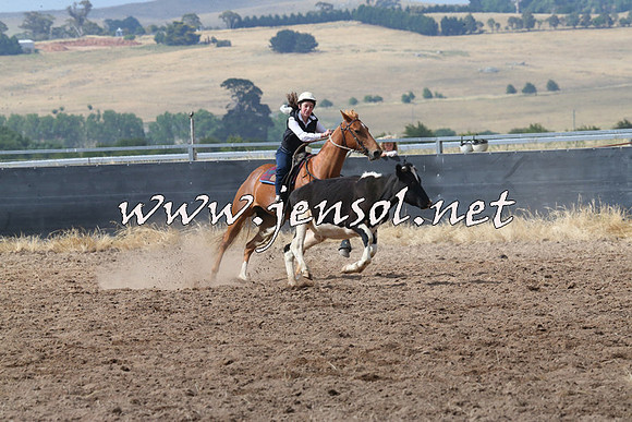 BraidwoodCampdraft2014_0480
