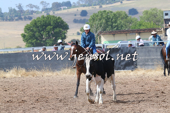 BraidwoodCampdraft2014_0547