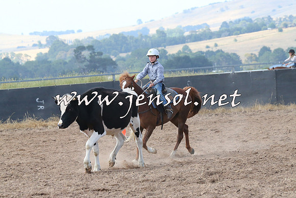 BraidwoodCampdraft2014_0560