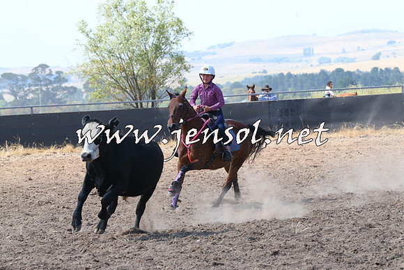 BraidwoodCampdraft2014_0601