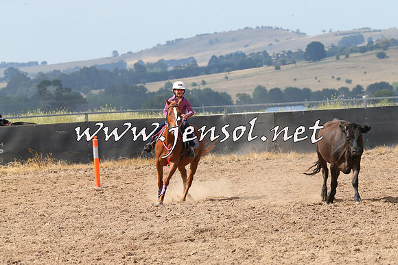 BraidwoodCampdraft2014_0532
