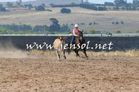 BraidwoodCampdraft2014_0446