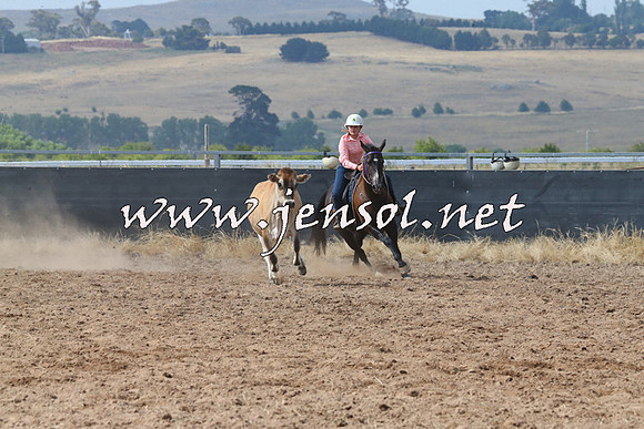 BraidwoodCampdraft2014_0446