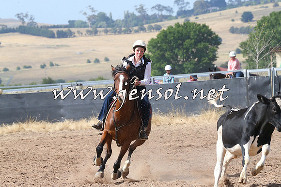 BraidwoodCampdraft2014_0579