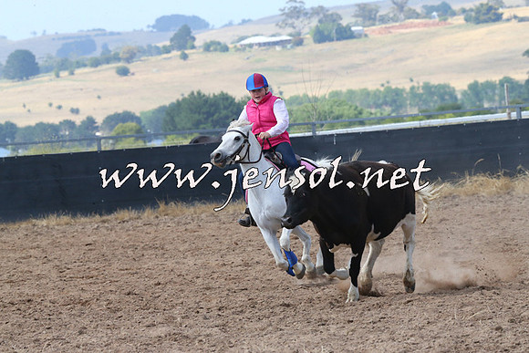 BraidwoodCampdraft2014_0555