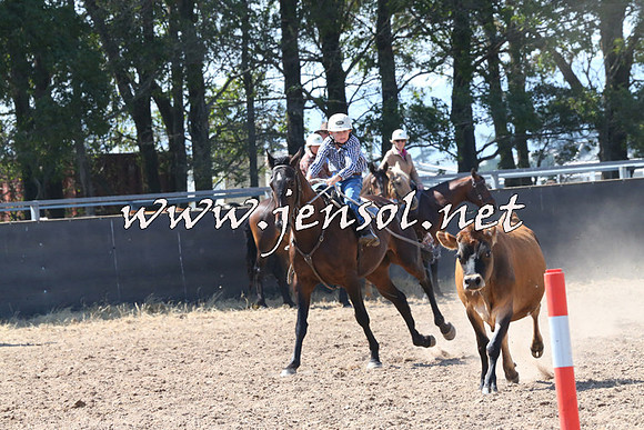 BraidwoodCampdraft2014_0617