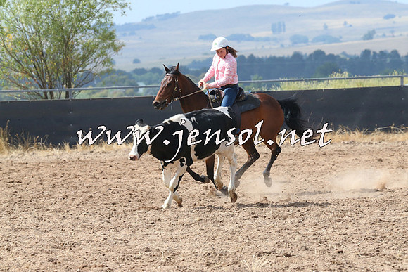 BraidwoodCampdraft2014_0468