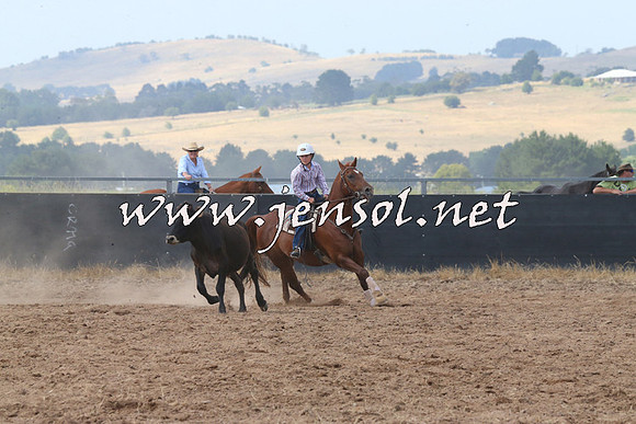 BraidwoodCampdraft2014_0488
