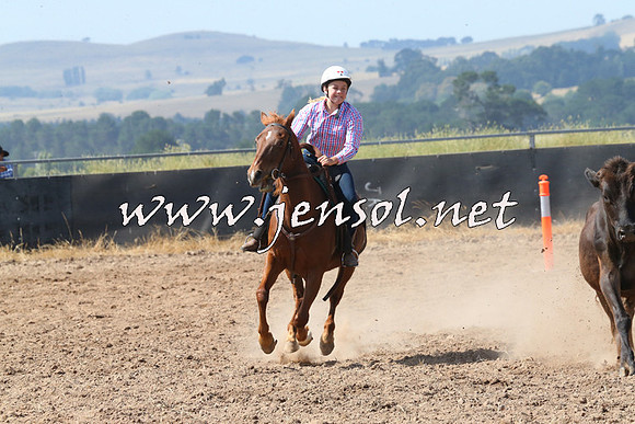 BraidwoodCampdraft2014_0582