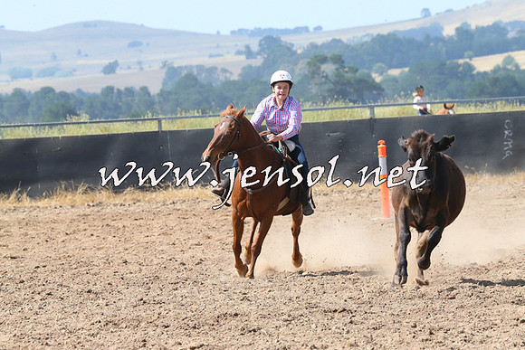 BraidwoodCampdraft2014_0581