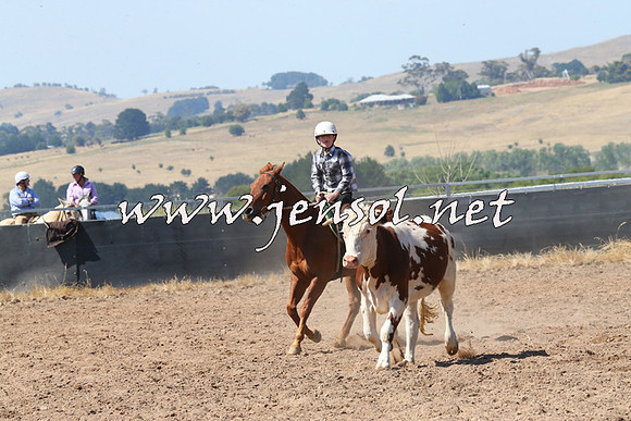 BraidwoodCampdraft2014_0622