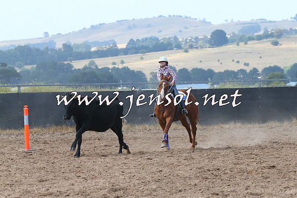 BraidwoodCampdraft2014_0570
