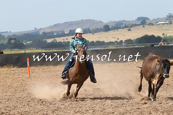 BraidwoodCampdraft2014_0541