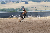 BraidwoodCampdraft2014_0484