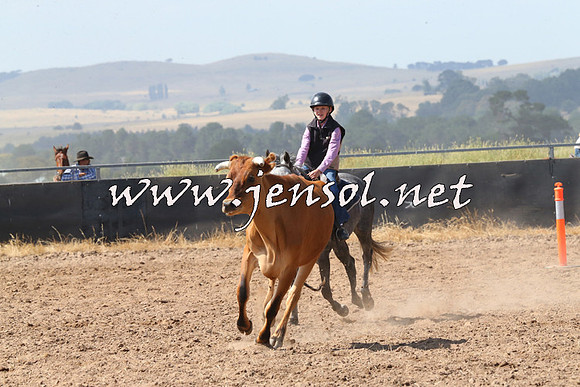 BraidwoodCampdraft2014_0589