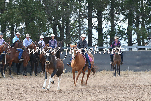 BraidwoodCampdraft2014_0521