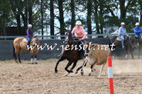BraidwoodCampdraft2014_0451