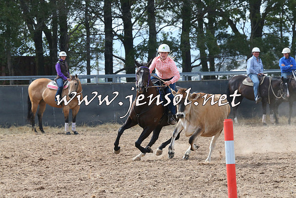 BraidwoodCampdraft2014_0451