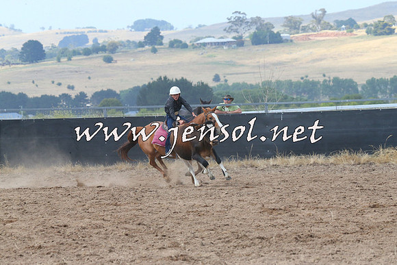 BraidwoodCampdraft2014_0517