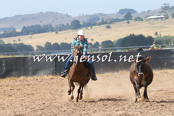 BraidwoodCampdraft2014_0536