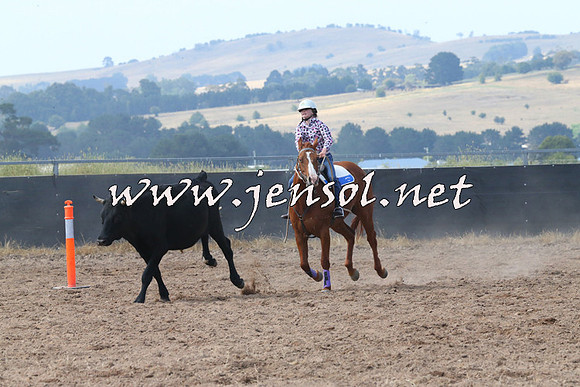 BraidwoodCampdraft2014_0568