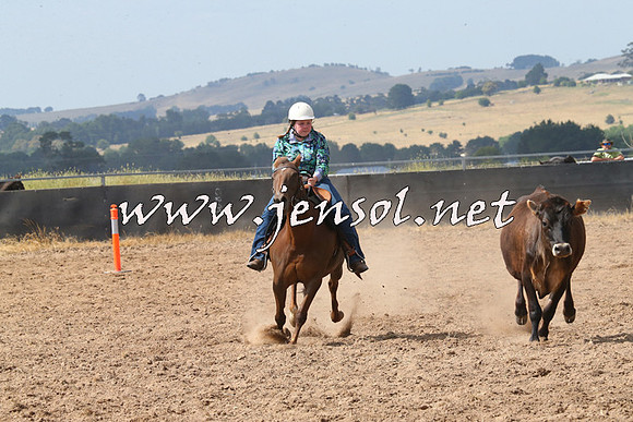 BraidwoodCampdraft2014_0542