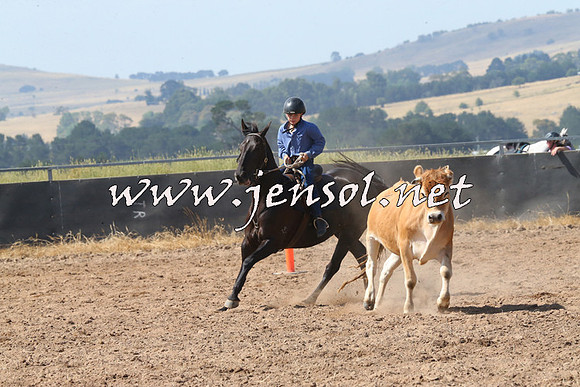 BraidwoodCampdraft2014_0592