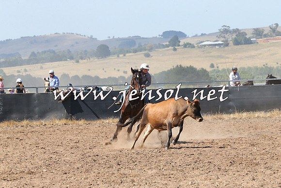 BraidwoodCampdraft2014_0614