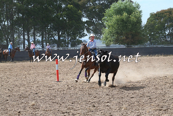 BraidwoodCampdraft2014_0527