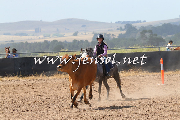 BraidwoodCampdraft2014_0590