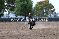 BraidwoodCampdraft2014_0434