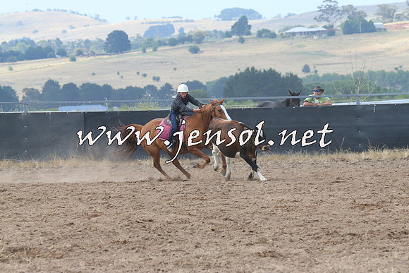 BraidwoodCampdraft2014_0514
