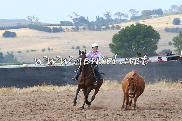 BraidwoodCampdraft2014_0495