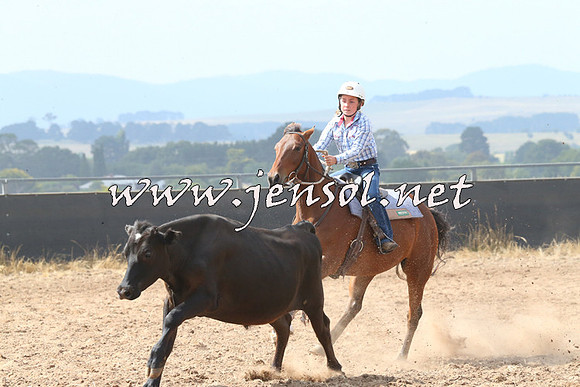 BraidwoodCampdraft2014_0525
