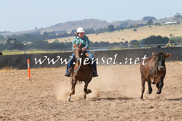 BraidwoodCampdraft2014_0540