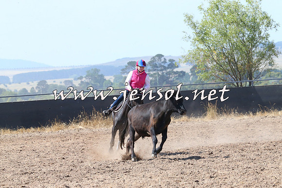 BraidwoodCampdraft2014_0609