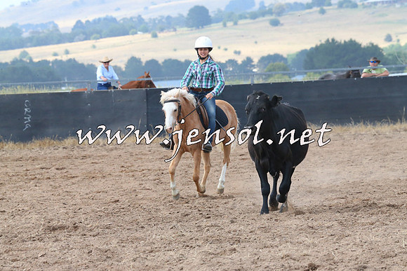 BraidwoodCampdraft2014_0490