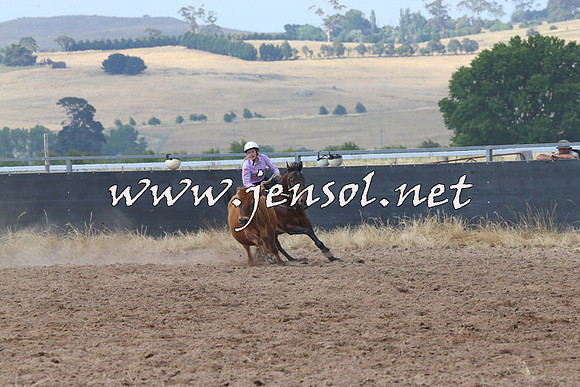 BraidwoodCampdraft2014_0500
