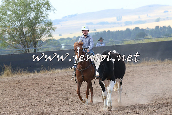 BraidwoodCampdraft2014_0564