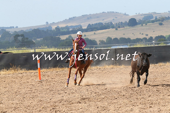 BraidwoodCampdraft2014_0534