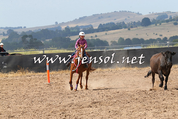BraidwoodCampdraft2014_0533