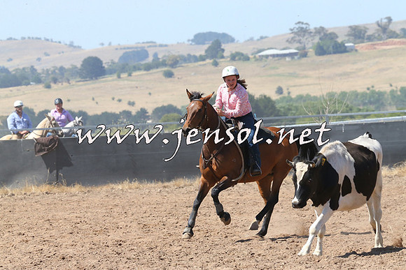 BraidwoodCampdraft2014_0630