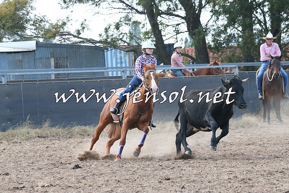 BraidwoodCampdraft2014_0571