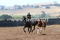 BraidwoodCampdraft2014_0472