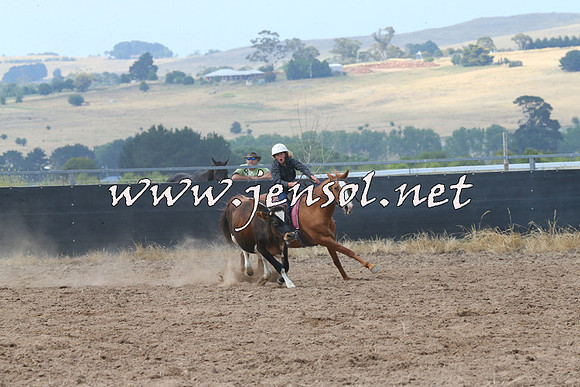 BraidwoodCampdraft2014_0512