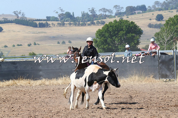 BraidwoodCampdraft2014_0619