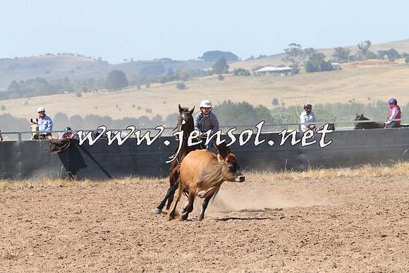 BraidwoodCampdraft2014_0612