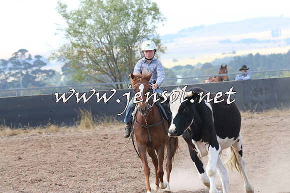 BraidwoodCampdraft2014_0567